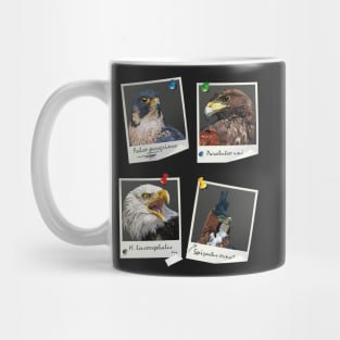 Birds of prey Mug